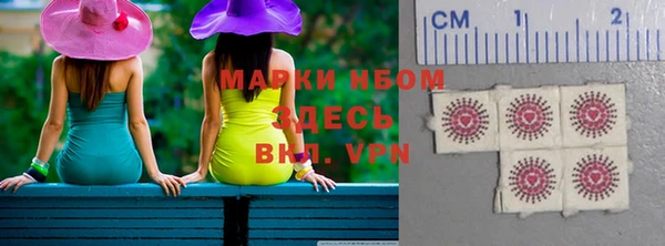 индика Армянск