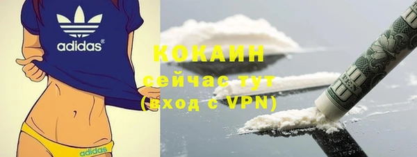 дживик Арсеньев