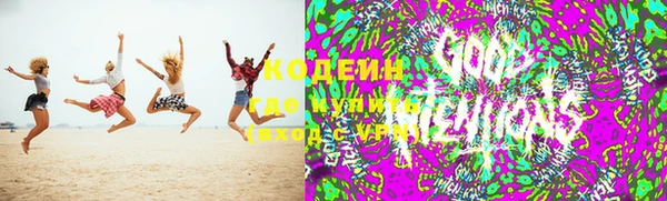 дживик Арсеньев
